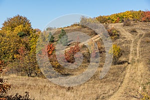 Autumn view of Cherna Gora mountain, Bulgaria