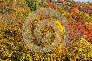 Autumn view of Cherna Gora mountain, Bulgaria