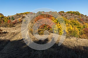 Autumn view of Cherna Gora mountain, Bulgaria