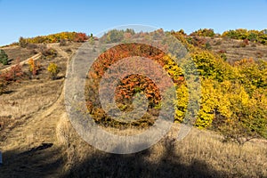 Autumn view of Cherna Gora mountain, Bulgaria