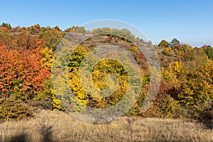 Autumn view of Cherna Gora mountain, Bulgaria