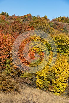 Autumn view of Cherna Gora mountain, Bulgaria