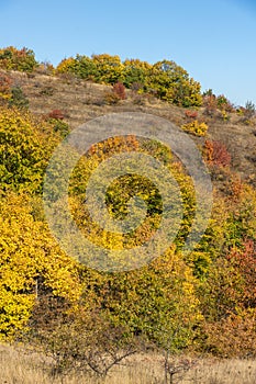 Autumn view of Cherna Gora mountain, Bulgaria