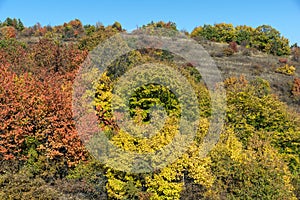 Autumn view of Cherna Gora mountain, Bulgaria