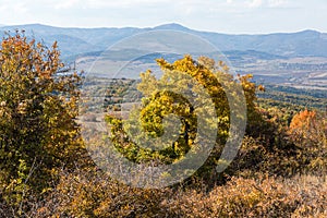 Autumn view of Cherna Gora mountain, Bulgaria