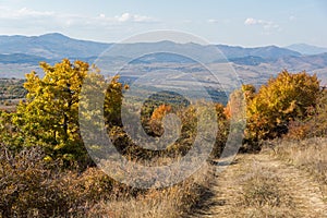 Autumn view of Cherna Gora mountain, Bulgaria