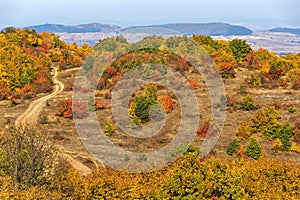 Autumn view of Cherna Gora mountain, Bulgaria