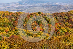 Autumn view of Cherna Gora mountain, Bulgaria