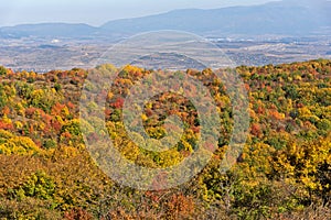 Autumn view of Cherna Gora mountain, Bulgaria