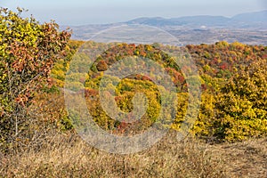 Autumn view of Cherna Gora mountain, Bulgaria