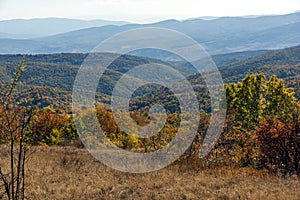 Autumn view of Cherna Gora mountain, Bulgaria