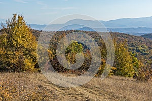 Autumn view of Cherna Gora mountain, Bulgaria