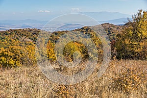 Autumn view of Cherna Gora mountain, Bulgaria