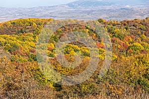 Autumn view of Cherna Gora mountain, Bulgaria