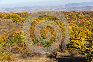 Autumn view of Cherna Gora mountain, Bulgaria