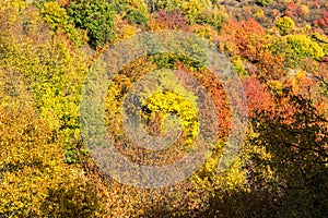 Autumn view of Cherna Gora mountain, Bulgaria