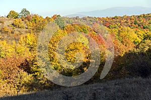 Autumn view of Cherna Gora mountain, Bulgaria