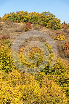 Autumn view of Cherna Gora mountain, Bulgaria