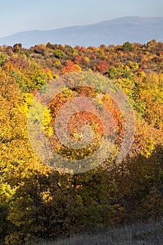 Autumn view of Cherna Gora mountain, Bulgaria