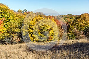 Autumn view of Cherna Gora mountain, Bulgaria