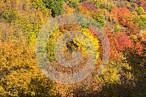 Autumn view of Cherna Gora mountain,  Bulgaria