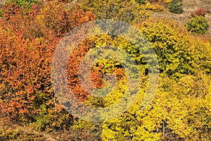 Autumn view of Cherna Gora mountain,  Bulgaria