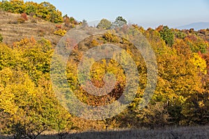 Autumn view of Cherna Gora mountain,  Bulgaria