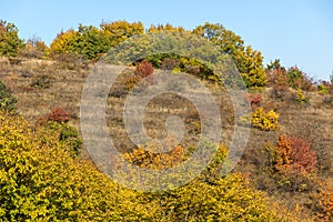 Autumn view of Cherna Gora mountain,  Bulgaria