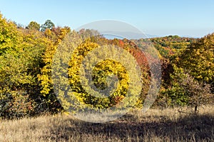 Autumn view of Cherna Gora mountain,  Bulgaria