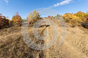 Autumn view of Cherna Gora mountain,  Bulgaria