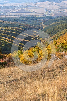 Autumn view of Cherna Gora mountain,  Bulgaria