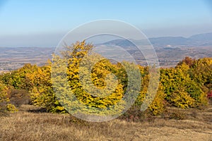 Autumn view of Cherna Gora mountain,  Bulgaria