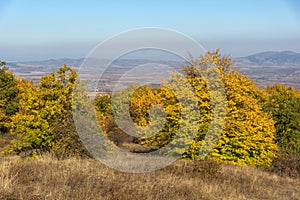 Autumn view of Cherna Gora mountain,  Bulgaria