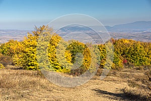 Autumn view of Cherna Gora mountain,  Bulgaria