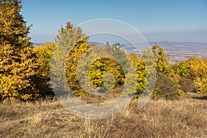 Autumn view of Cherna Gora mountain,  Bulgaria