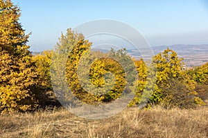 Autumn view of Cherna Gora mountain,  Bulgaria