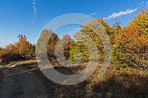 Autumn view of Cherna Gora mountain,  Bulgaria