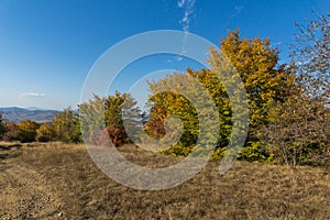 Autumn view of Cherna Gora mountain,  Bulgaria