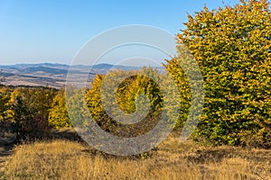 Autumn view of Cherna Gora mountain,  Bulgaria