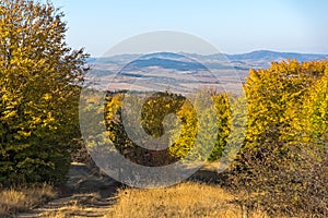 Autumn view of Cherna Gora mountain,  Bulgaria