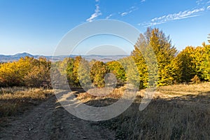 Autumn view of Cherna Gora mountain,  Bulgaria