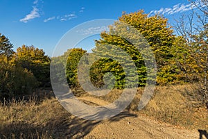 Autumn view of Cherna Gora mountain,  Bulgaria