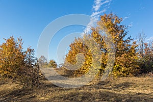 Autumn view of Cherna Gora mountain,  Bulgaria