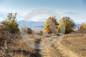 Autumn view of Cherna Gora mountain,  Bulgaria