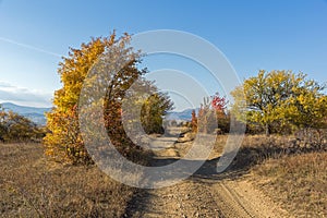 Autumn view of Cherna Gora mountain,  Bulgaria