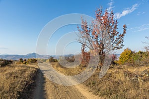 Autumn view of Cherna Gora mountain,  Bulgaria