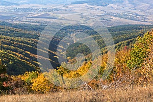 Autumn view of Cherna Gora mountain,  Bulgaria photo