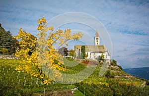 Autumn view of the Church of the idyllic village of Cortaccia. Cortaccia extends on the sunny side of the wine road. South Tyrol,