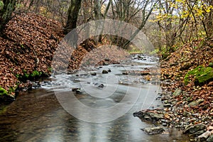 Autumn view of Dalejsky potok stream in Prague, Czech Republ