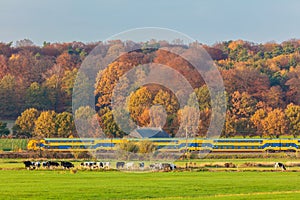 Autumn view of Dutch national park The Veluwezoom with a train p